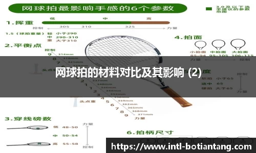 网球拍的材料对比及其影响 (2)